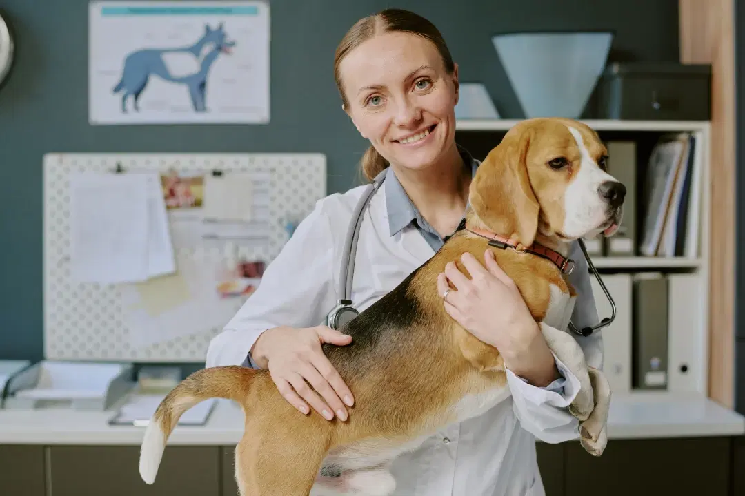 Veterinarian presenting a welcoming and trustworthy clinic experience